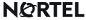 ������� �������������� ������ ������������ ������ � ��� �� "Nortel"